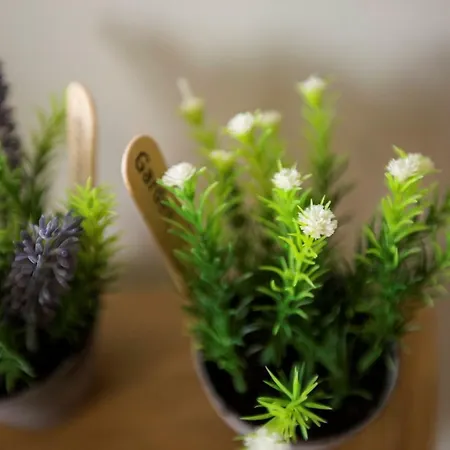 Casa Da Lo * 비아나도카스텔로